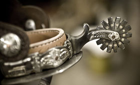 Pro Saddles & Spurs